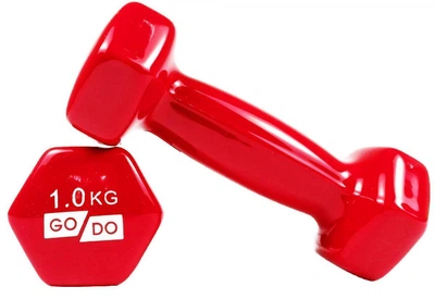 Гантели виниловые GoDo 1 кг × 2 шт красные для фитнеса и реабилитации (GD-1.0R)