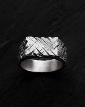Серебряное кольцо ERFARING Reytel 1191786 21
