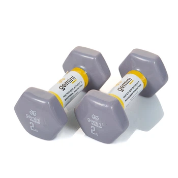 Гантели виниловые Gemini 2 кг × 2 шт серые для фитнеса и реабилитации (GSD-2.0GRAY)