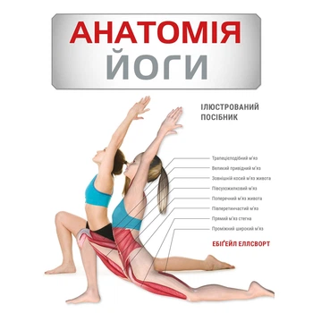 Анатомія йоги. Ілюстрований посібник / Ебіґейл Еллсворт