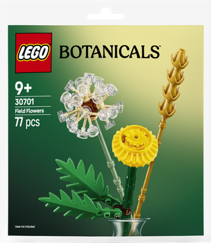 Zestaw klocków LEGO Botanicals Kwiaty polne 77 elementów (30701)