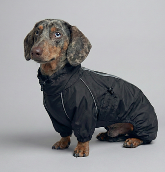 Дощовик для такс чорний Dogs Bomba MT-33/3