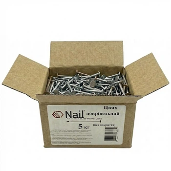 Цвяхи 3,1х50 покрівельні, DIN 1160 бп (уп.5кг) нефас Nail 5 кг (405348)