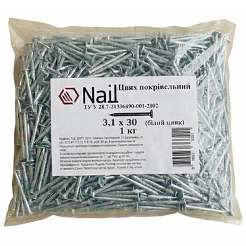 Цвяхи 3,1х30 покрівельні, DIN 1160 цинк (уп.1кг) Nail (405316)