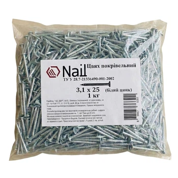Цвяхи 3,1х25 покрівельні, DIN 1160 цинк (уп.1кг) Nail (405312)