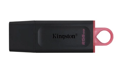 Флешка ЮСБ King DT Exodia 256Gb USB Flash Drive 3.2 256Гб Black / Pink