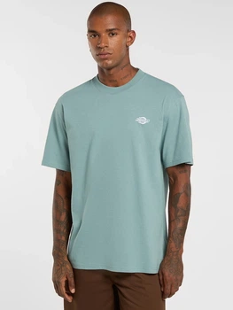 Футболка довга чоловіча Dickies DK0A4YAIL371 S Бірюзова (800070354498)