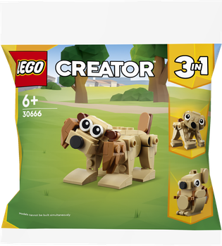 Zestaw klocków LEGO Creator Prezentowe zwierzęta 75 elementów (30666)