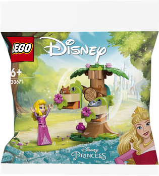 Конструктор LEGO Disney: Лісовий майданчик Аврори 60 елементів (30671)