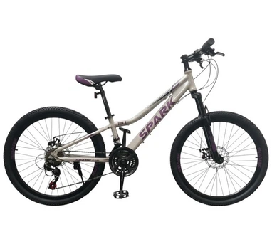 Велосипед AL 24" Spark TILL, рама 11" серебристый (239994)