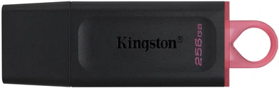 Накопичувач Kingston 256GB USB 3.2 Type-A Gen1 DT Exodia