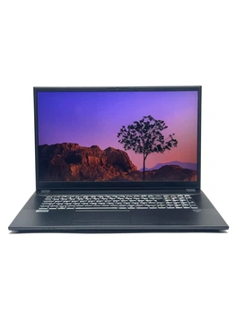 Ноутбук Juno Notebook NJ50CU IPS Intel Core i7 (i7-10510U) 16 Гб 1 Тб SSD Клас A- (NTB0226369) Б/В
