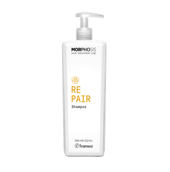 Шампунь против перхоти Framesi Morphosis Purifying Shampoo 1000 мл