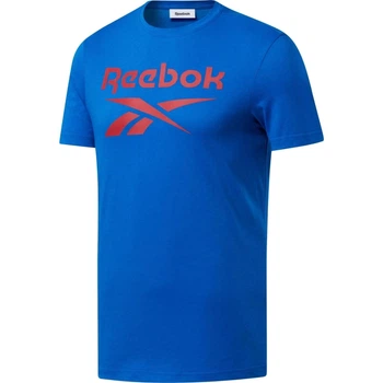 Футболка Reebok BIG LOGO TEE сине-красная S FP9149