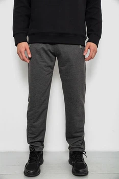 Спортивные штаны мужские однотонные, цвет серый, XL-XXL, 244R41740
