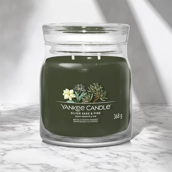 Ароматична свічка Silver Sage & Pine Medium Jar Yankee Candle (1630027E)