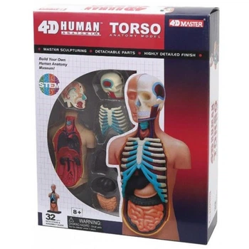 Пазл 4D Master Объемная анатомическая модель Торс человека (FM-626003) 4D Master FM-626003 1025134