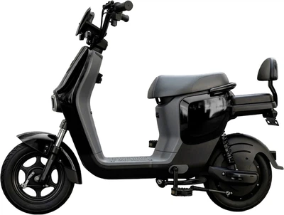 Электроскутер Forte Fly 600 W Черный (BP145075)