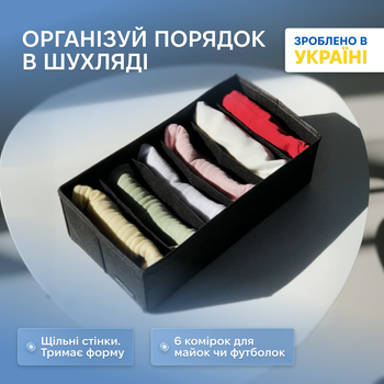 Органайзер ORGANIZE для шкарпеток 30 х 15 см Чорний (bl-nsk)