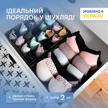 Комплект органайзерів ORGANIZE для білизни з 2 шт. Сірий (Gr002)