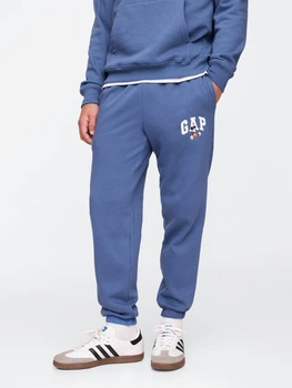 Спортивные штаны мужские GAP 354296851 L Синие (1159858281)