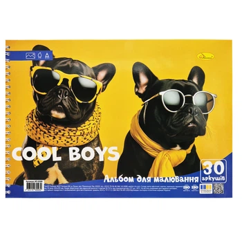 Альбом для рисования "Cool boys" Апельсин АП-0309-5, 30 листов, пружина