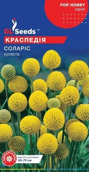 Краспедия Соларис GL Seeds сухоцвет 0.1г