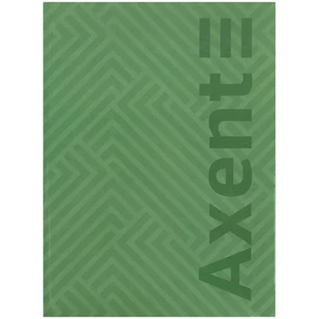 Книга записна Axent Pattern 8425-1-A, А4- 203х273 мм, 96 аркушів, клітинка