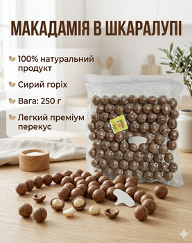 Макадамия в скорлупе 250 г сырые натуральные орехи со сливочным вкусом