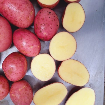 Насіннєва картопля Ред Соня 1 кг, 50-70 днів 2 репродукція