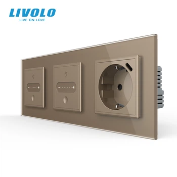 Умный проходной сенсорный диммер LIVOLO 2 сенсора (1-1) с розеткой USB Type-C 18 Вт, золотой матовий, стекло