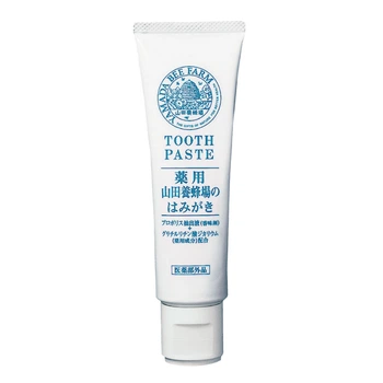 Антибактериальная зубная паста Yamada Bee Farm Medicated Toothpaste с экстрактом прополиса 100 г (4930830051063)