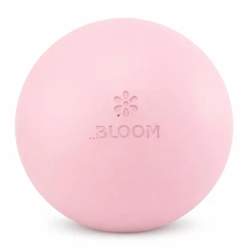 М'яч для пілатесу та йоги 20см із насосом Bloom Premium Pilates Ball 7003-20 діаметр 20см Pink