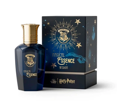 Парфумы для мужчин Harry Potter Magical Essence Parfume 50 мл