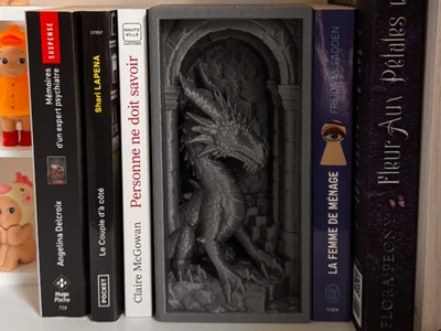 Книжковий уголок вставка для полиці дракон у лігві. Aivory