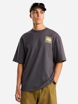 Футболка бавовняна довга чоловіча The North Face M Sun NF0A8GA0RHI1 L Сіра (800070354845)