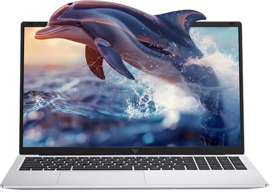 Ноутбук 17.3" ACEMAGIC AX17 Intel N97 RAM 16GB SSD 512GB Windows 11 (UKR) (102335066) - Уценка