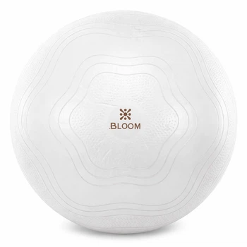 Фитбол мяч для фитнеса сатин BLOOM LB7051-65 Белый