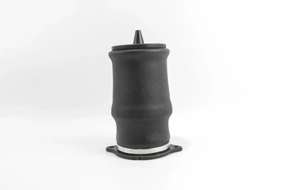 Подушка пневмопідвіски (ззаду) MB Vito (W639) 03- GOODREM RA0145 Mercedes Vito 6393280101, 6393280201, 6393280301