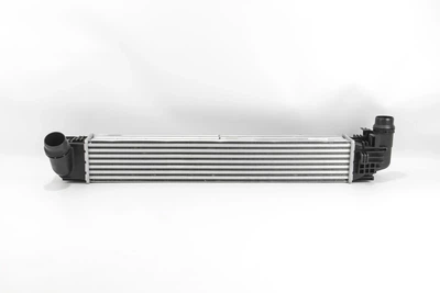 Радіатор інтеркулера DUSTER 1.5 dCi 10- GOODREM RH0219 Dacia Duster; Renault Duster 8200880552