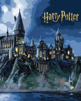 Картина за номерами Harry Potter: Гоґвортс вночі з фарбами металік extra Warner Bros. 40х50 Ідейка (KHO5230)