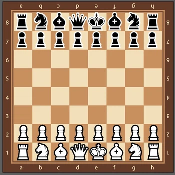 Магнитные шахматы 50х50см (MBG-001)