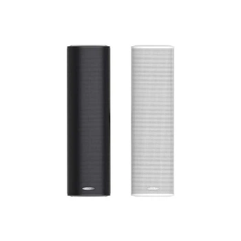 Гучномовець DSPPA DSP255II