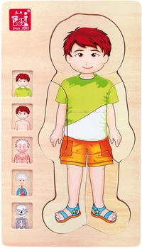Пазл деревянный Small Foot Anatomy Boy слоистый 29 элементов 5842 (4020972058423)