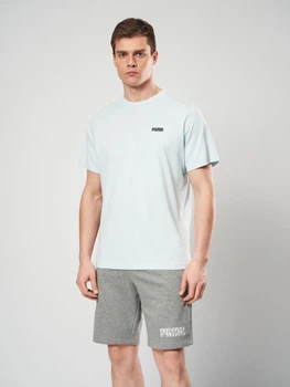 Футболка хлопковая длинная мужская Puma Essentials Graphics 68471748 M Fresh Water (4069161714153)