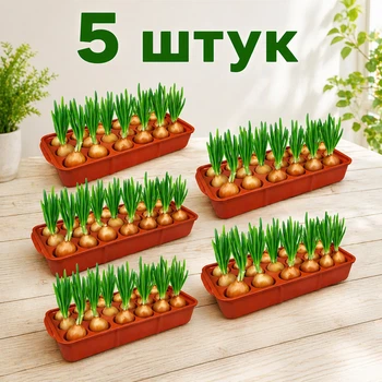 Набор из 5 пластиковых лотков для выращивания зелёного лука и рассады с съёмной вставкой луковичница