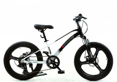 Детский спортивный велосипед 20 дюймов Corso Fox 15 FX-155 магниевая рама Shimano Revoshift 7 скоростей. Black and White (194561)