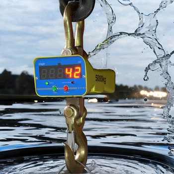 Весы электронные крановые Вагар D2-5000