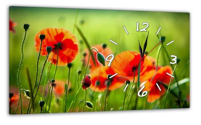 Картина на холсте MAKO Poppies Field Green с часами 30×53 см бесшумный плавный ход кварцевый механизм 3053-054