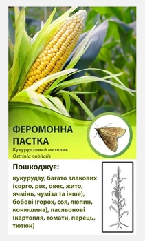 Феромонная ловушка от кукурузного стеблевого мотылька
